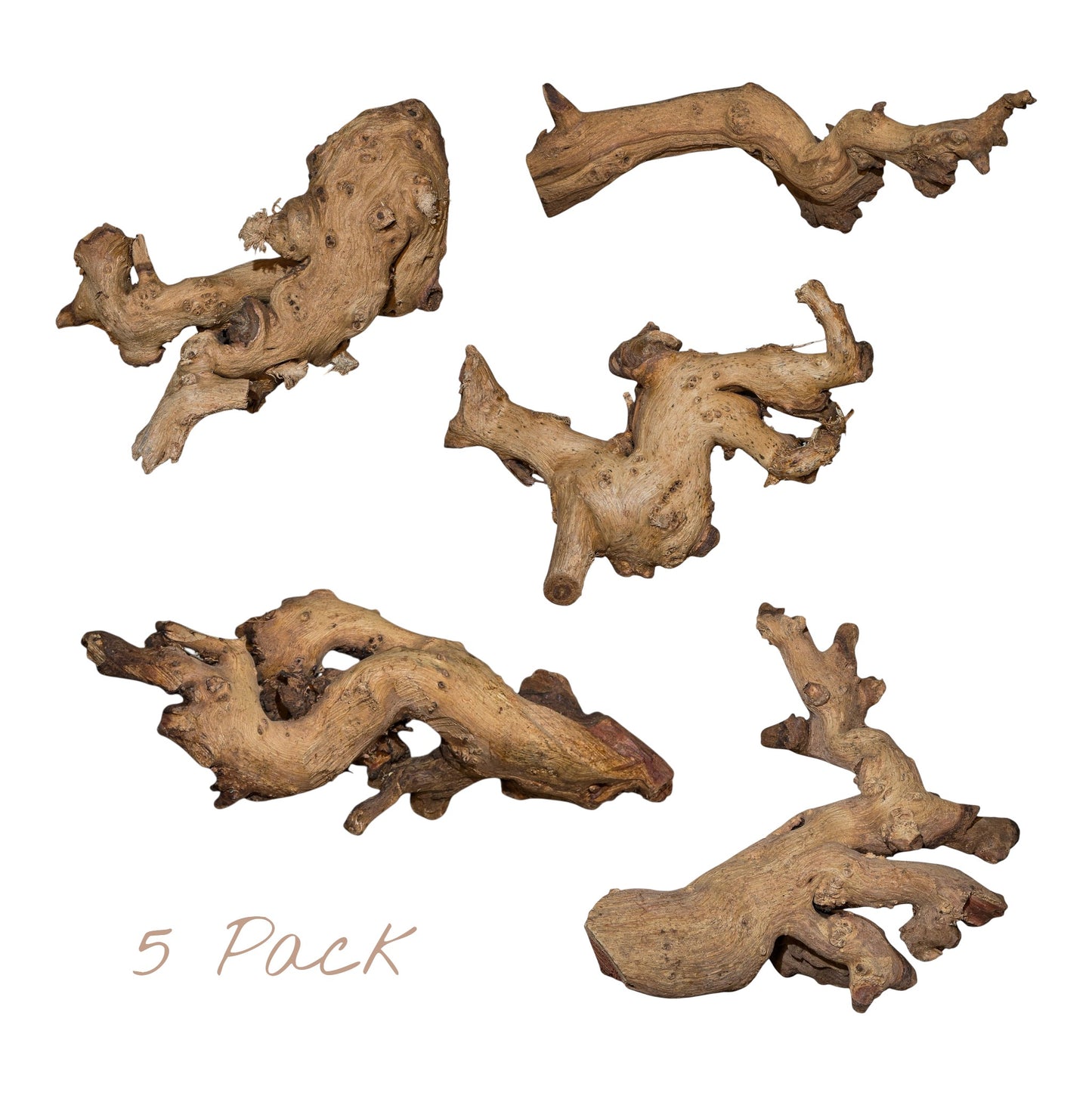 Mopani Driftwood Nano 4-8" | Aquarium & Terrarium Wood