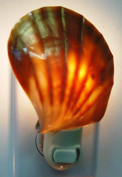 BLACK LIP OYSTER NIGHTLIGHT