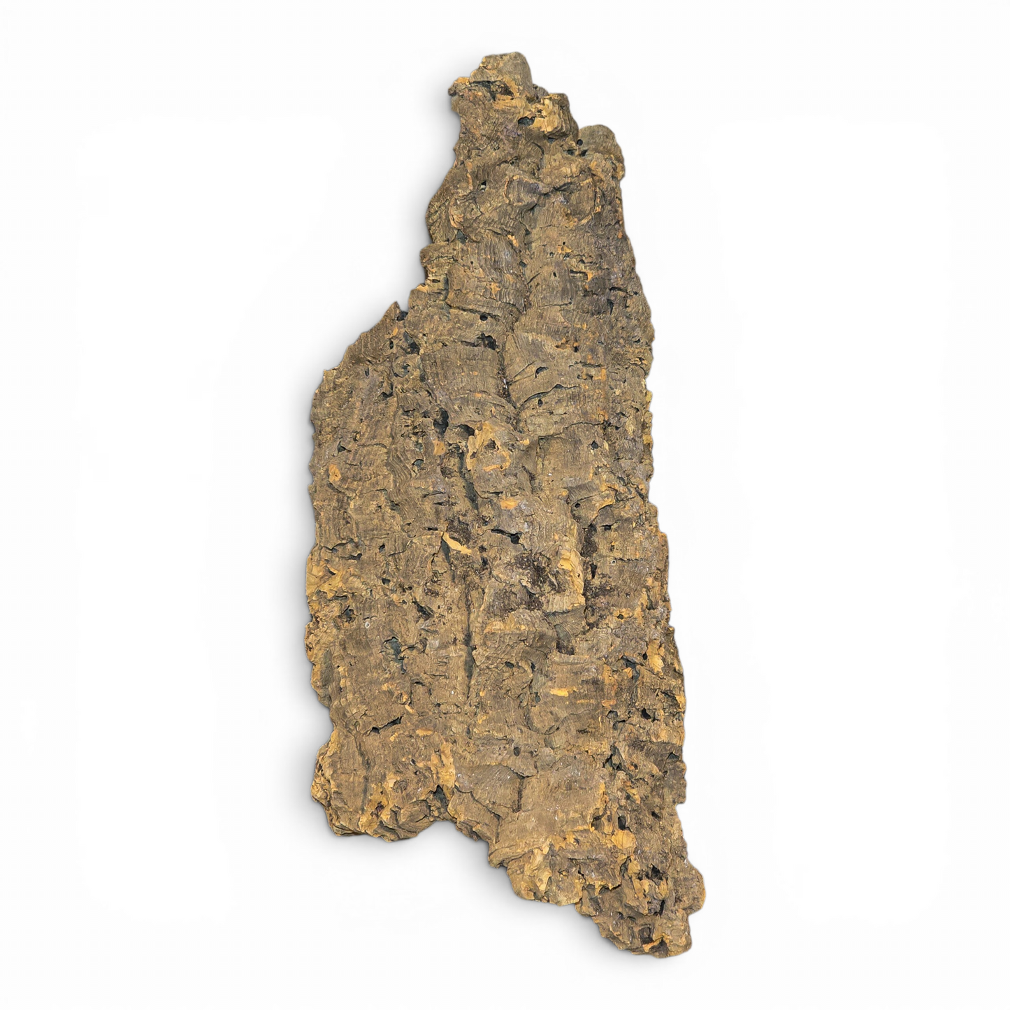 Cork Bark Flats – Medium (10–16") | Natural Cork Bark for Reptiles & Terrariums