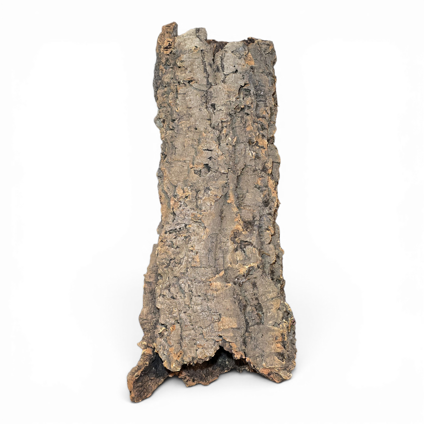 Natural Cork Bark Tube Hide for Reptiles & Terrariums | Large 16–24"