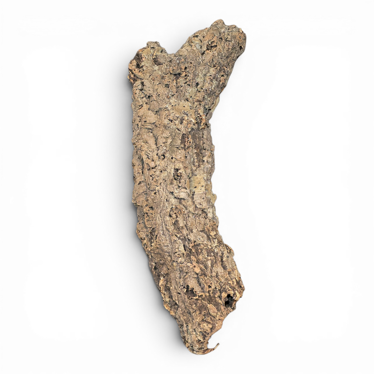 Natural Cork Bark Tube Hide for Reptiles & Terrariums | X-Large 24–36"