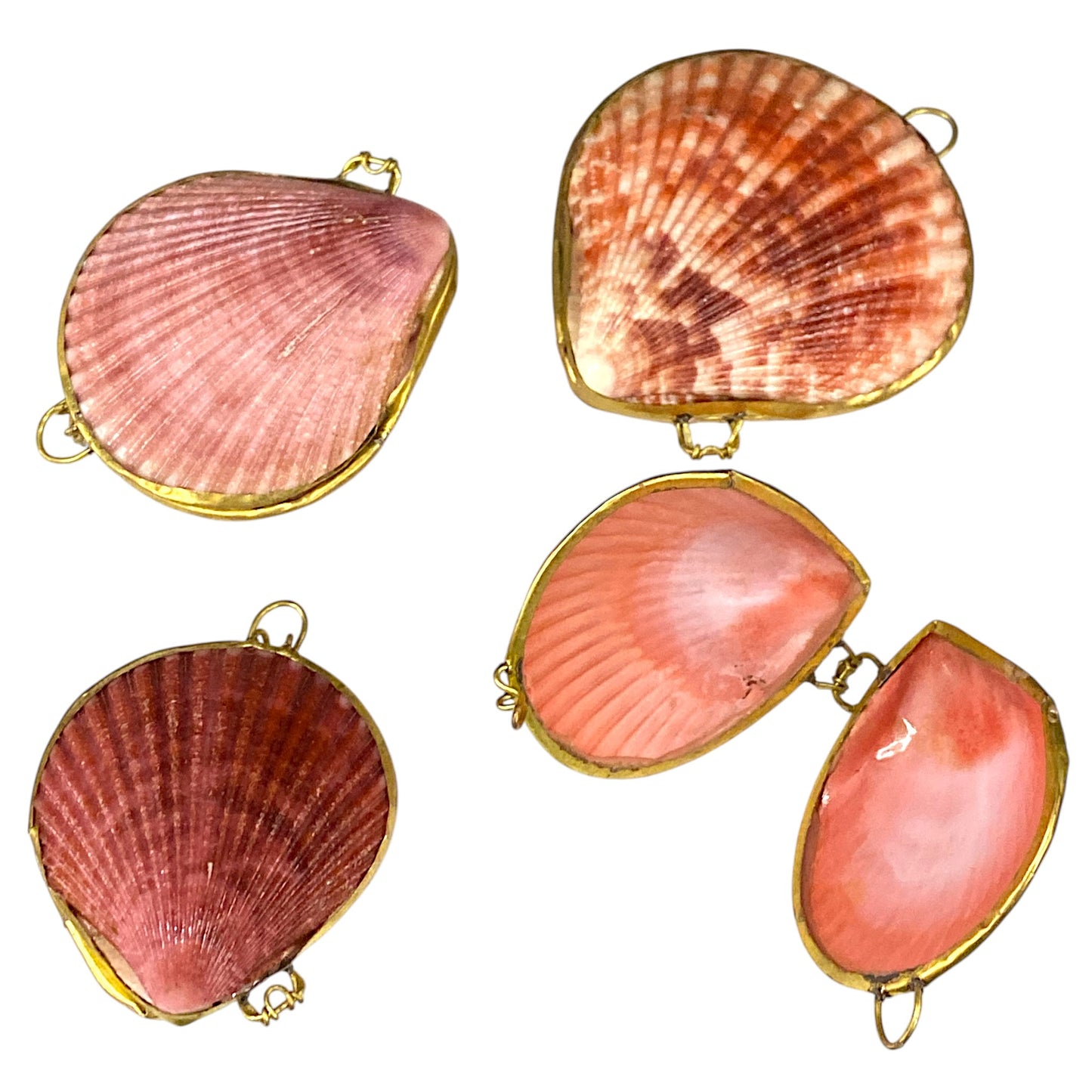 ASSORTED SEA SHELL COIN - SMUDGE or PILL BOXES 2 - 3 inch - Pecten Scallop - NEW723
