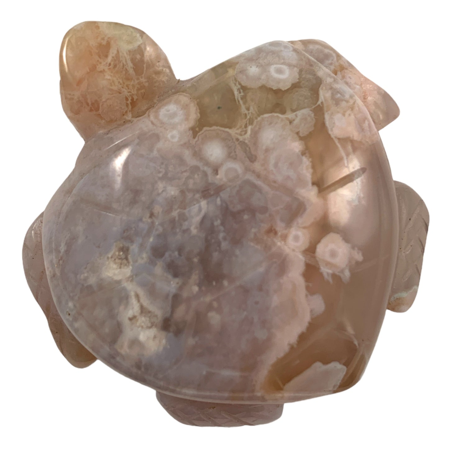 Sea Turtle - Flower Agate - Small 55-60mm - Hand Carved - NEW822