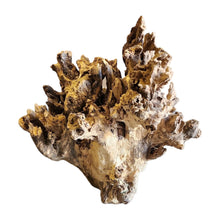 Load image into Gallery viewer, Stump Driftwood