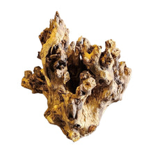 Load image into Gallery viewer, Stump Driftwood