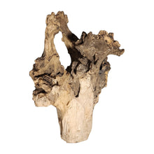 Load image into Gallery viewer, Stump Driftwood
