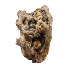 Load image into Gallery viewer, Stump Driftwood