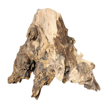 Load image into Gallery viewer, Stump Driftwood
