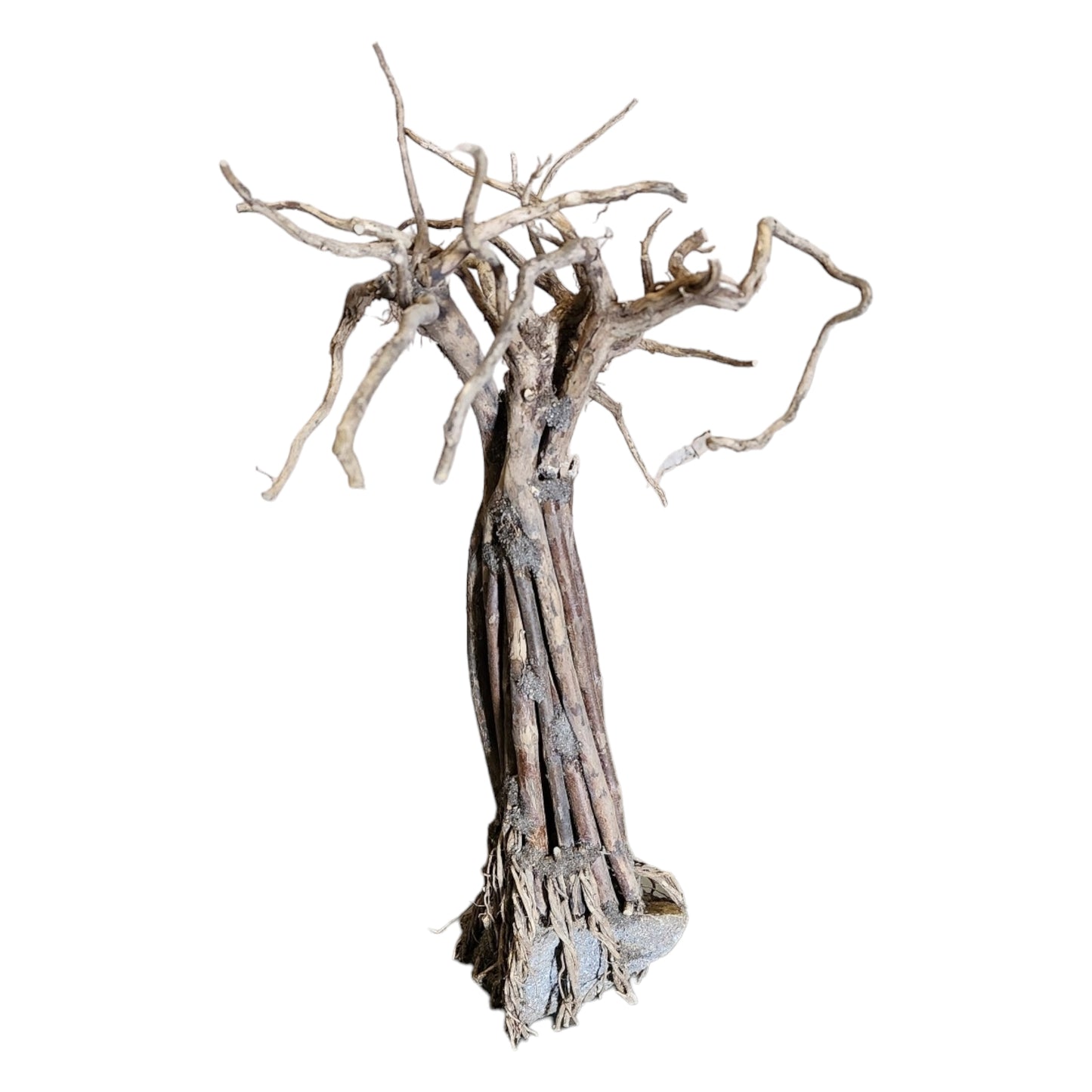 Tree Patu Driftwood