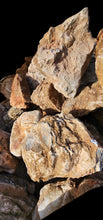 Load image into Gallery viewer, Red Melaleuca Stone