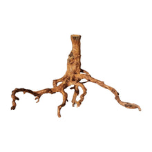 Load image into Gallery viewer, Red Moor Driftwood
