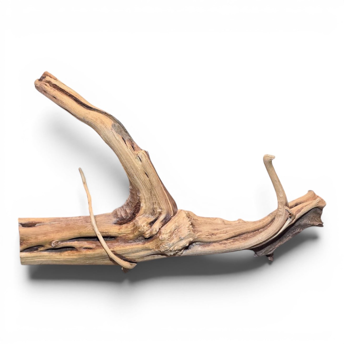 Spiderwood Driftwood - Small (7-12")