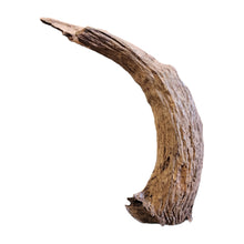 Load image into Gallery viewer, Textured Indonesian Driftwood