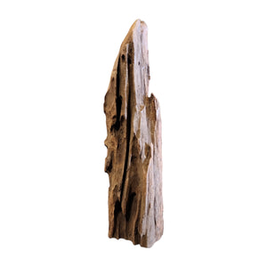 Textured Indonesian Driftwood