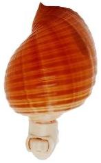 BROWN TONNA NIGHTLIGHT