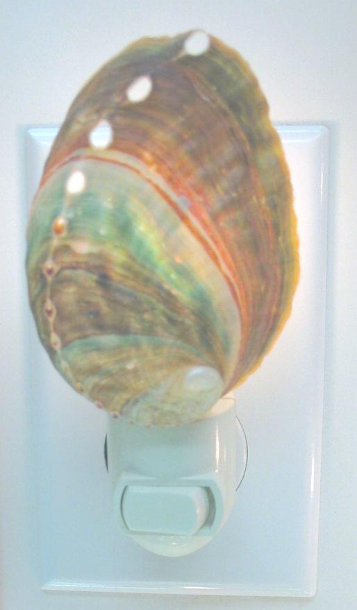 MEXICAN GREEN ABALONE NIGHTLIGHT