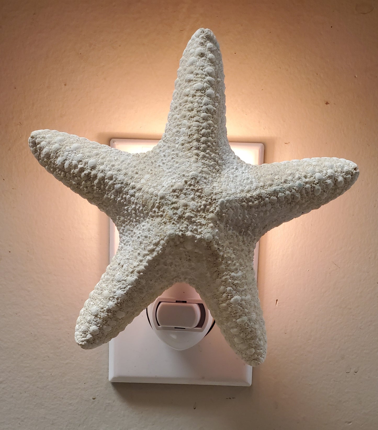 JUNGLE STARFISH WHITE NIGHTLIGHTS w/ White Fixtures