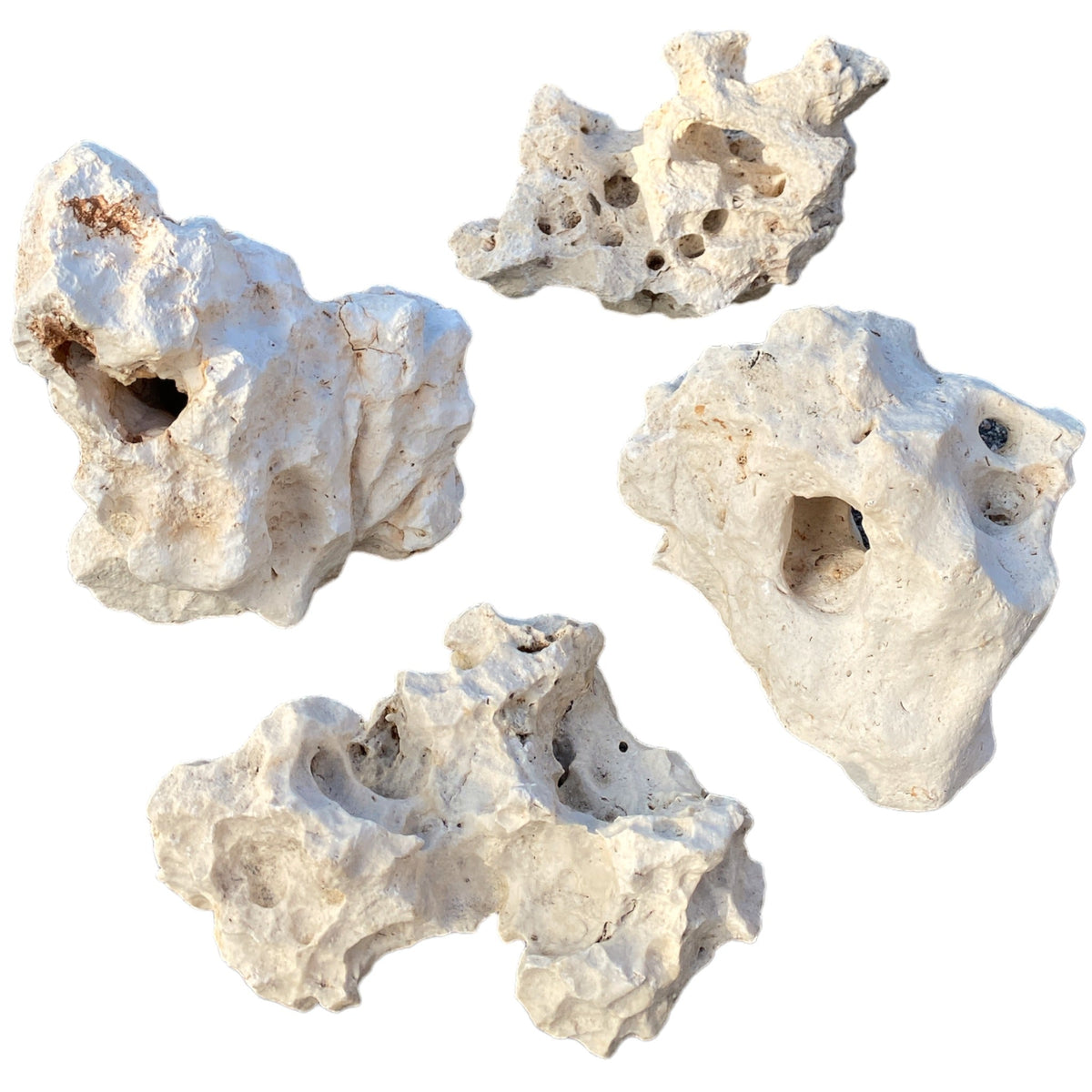 Marco Rock Oceanic Holey Base Rock 10–15cm | Aquarium Rock (Per lb)