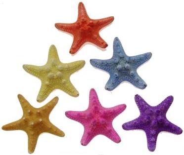 HORNED STARFISH 2 - 3 inch PASTEL MIX