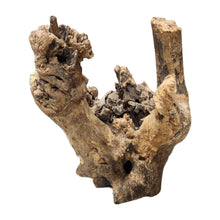 Load image into Gallery viewer, Stump Driftwood
