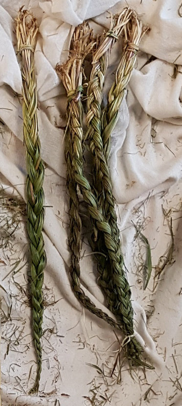 BRAIDED SWEETGRASS 15 - 17 inch LOOSE