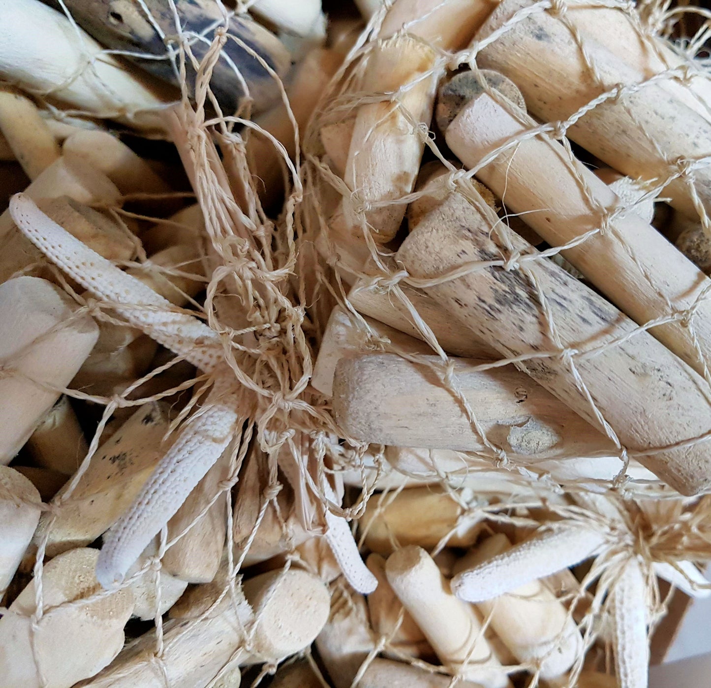 Driftwood with Linkcia Sea Star