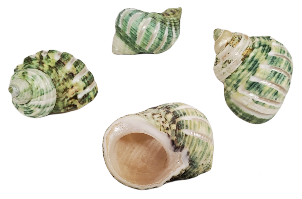 Natural (unpolished)