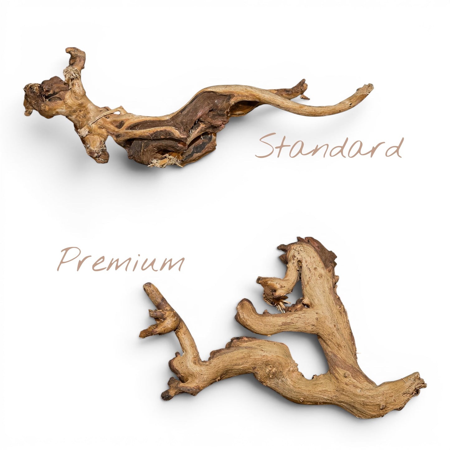 Mopani Driftwood Small 8-14" | Aquarium & Terrarium Wood