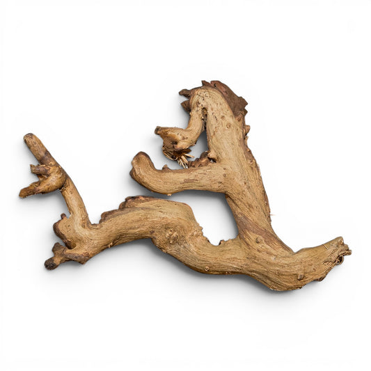 Mopani Driftwood Small 8-14" | Aquarium & Terrarium Wood