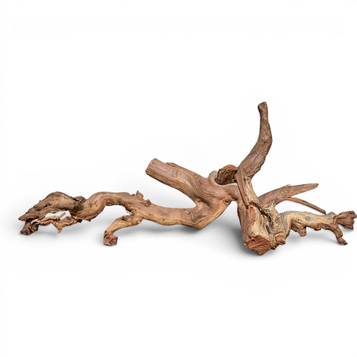 Mopani Driftwood Large 20–30" | Hand Selected Aquarium & Terrarium Wood