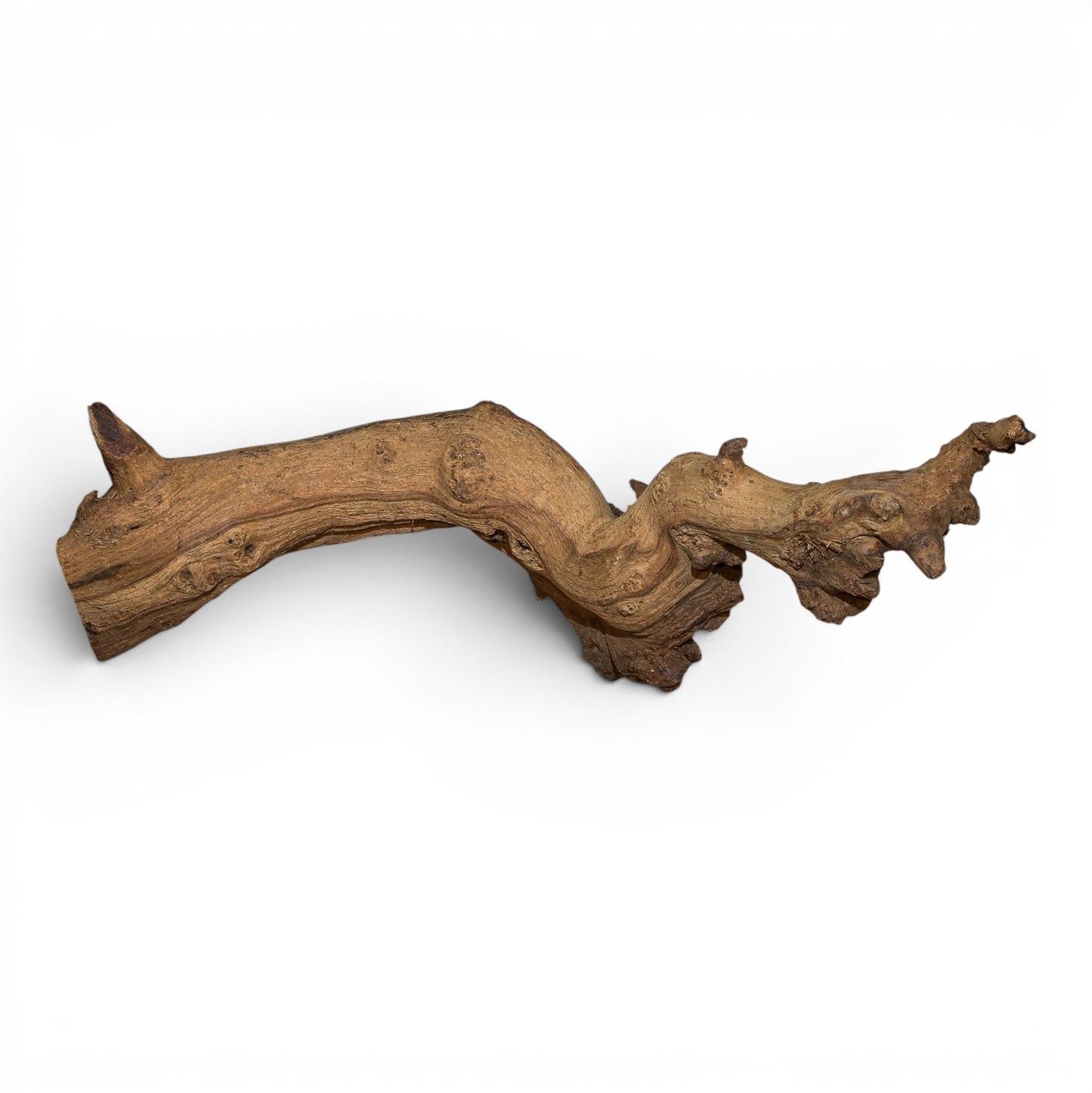 Mopani Driftwood Nano 4-8" | Aquarium & Terrarium Wood