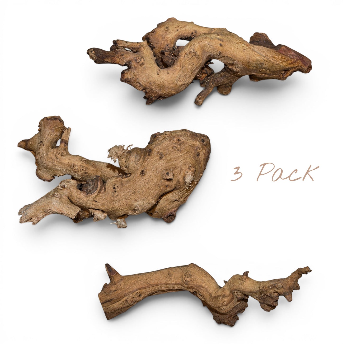 Mopani Driftwood Nano 4-8" | Aquarium & Terrarium Wood