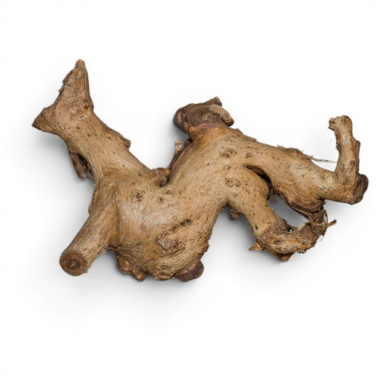 Mopani Driftwood Nano 4-8" | Aquarium & Terrarium Wood