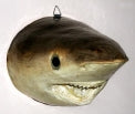 Mounted Stuffed Sharks Head