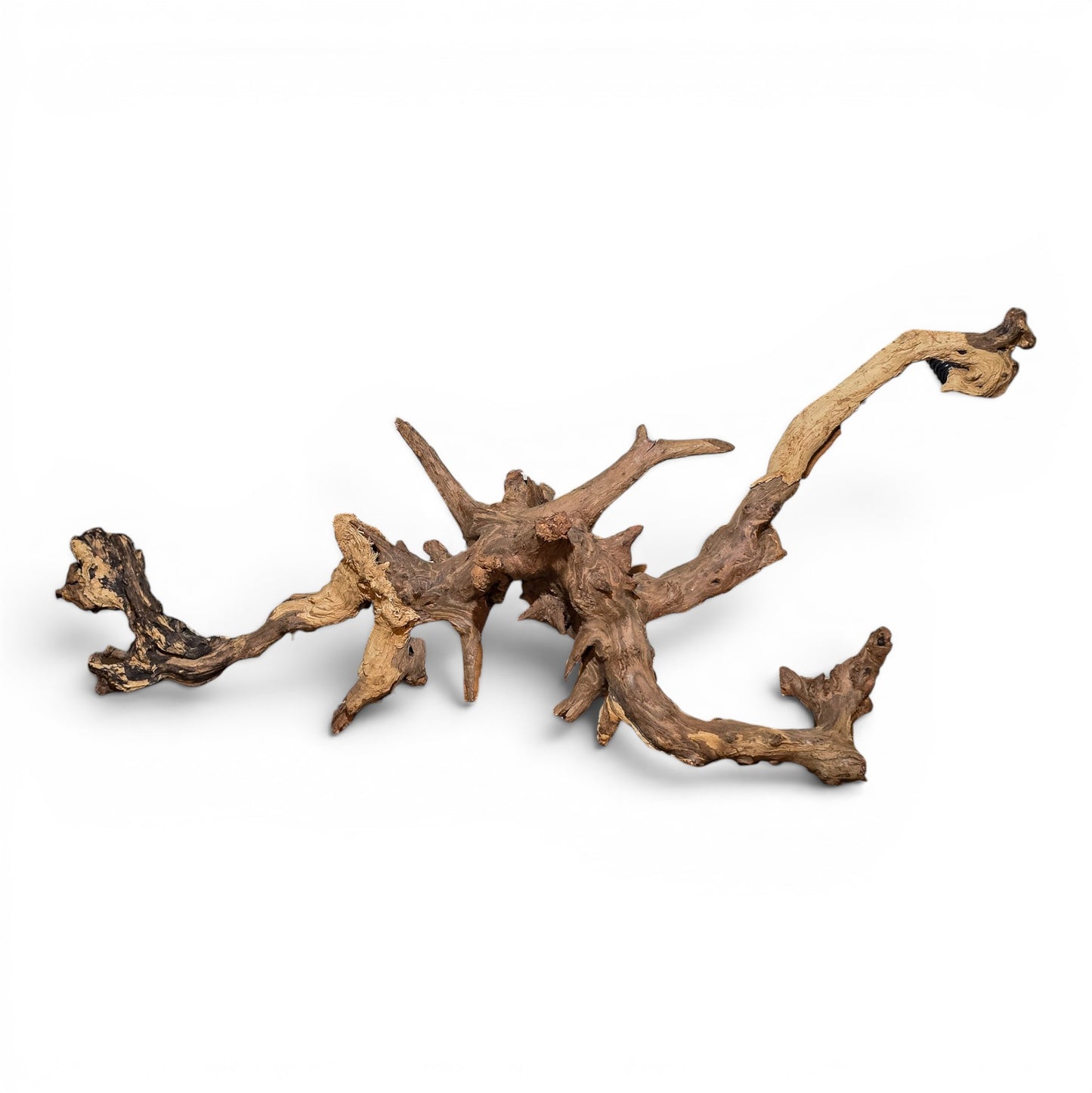 Mopani Driftwood Large 20–30" | Hand Selected Aquarium & Terrarium Wood