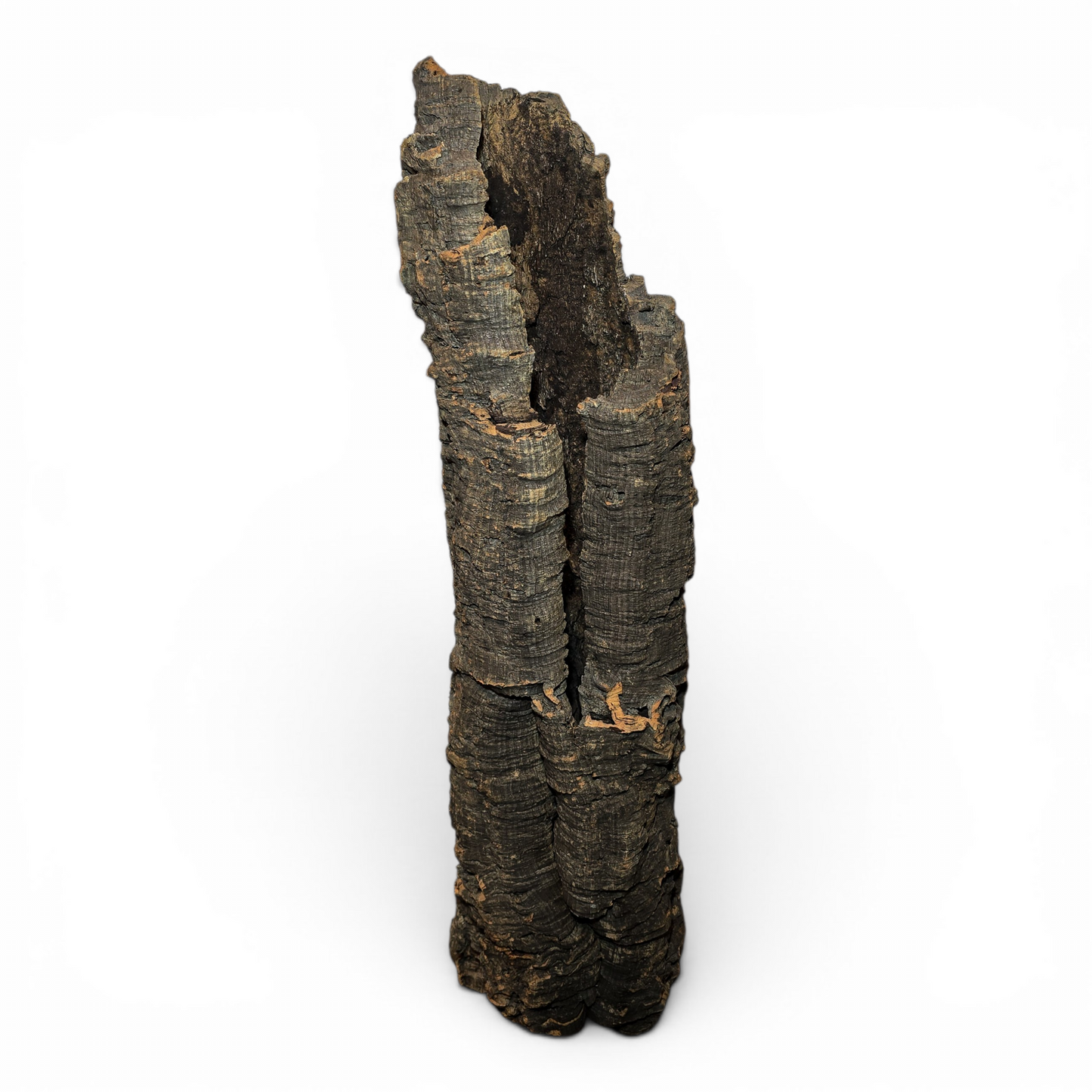 Natural Cork Bark Tube Hide for Reptiles & Terrariums | X-Large 24–36"