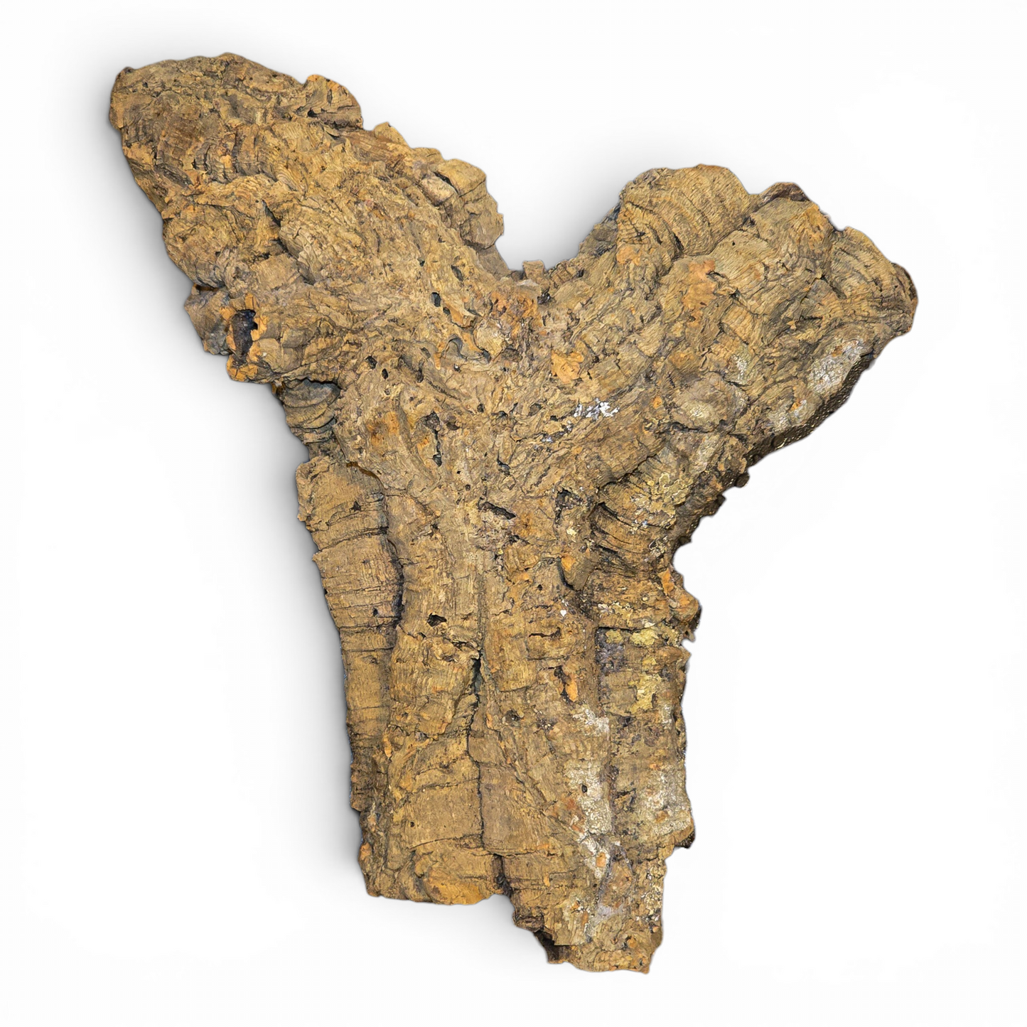 Natural Cork Bark Tube Hide for Reptiles & Terrariums | Large 16–24"