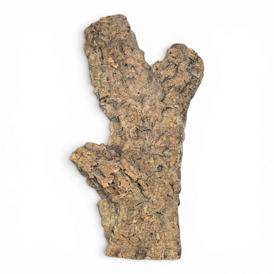 Natural Cork Bark Tube Hide for Reptiles & Terrariums | Large 16–24"