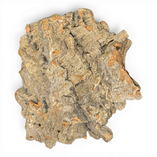 Cork Bark Flats – Micro (4-6") | Natural Cork Bark for Terrariums