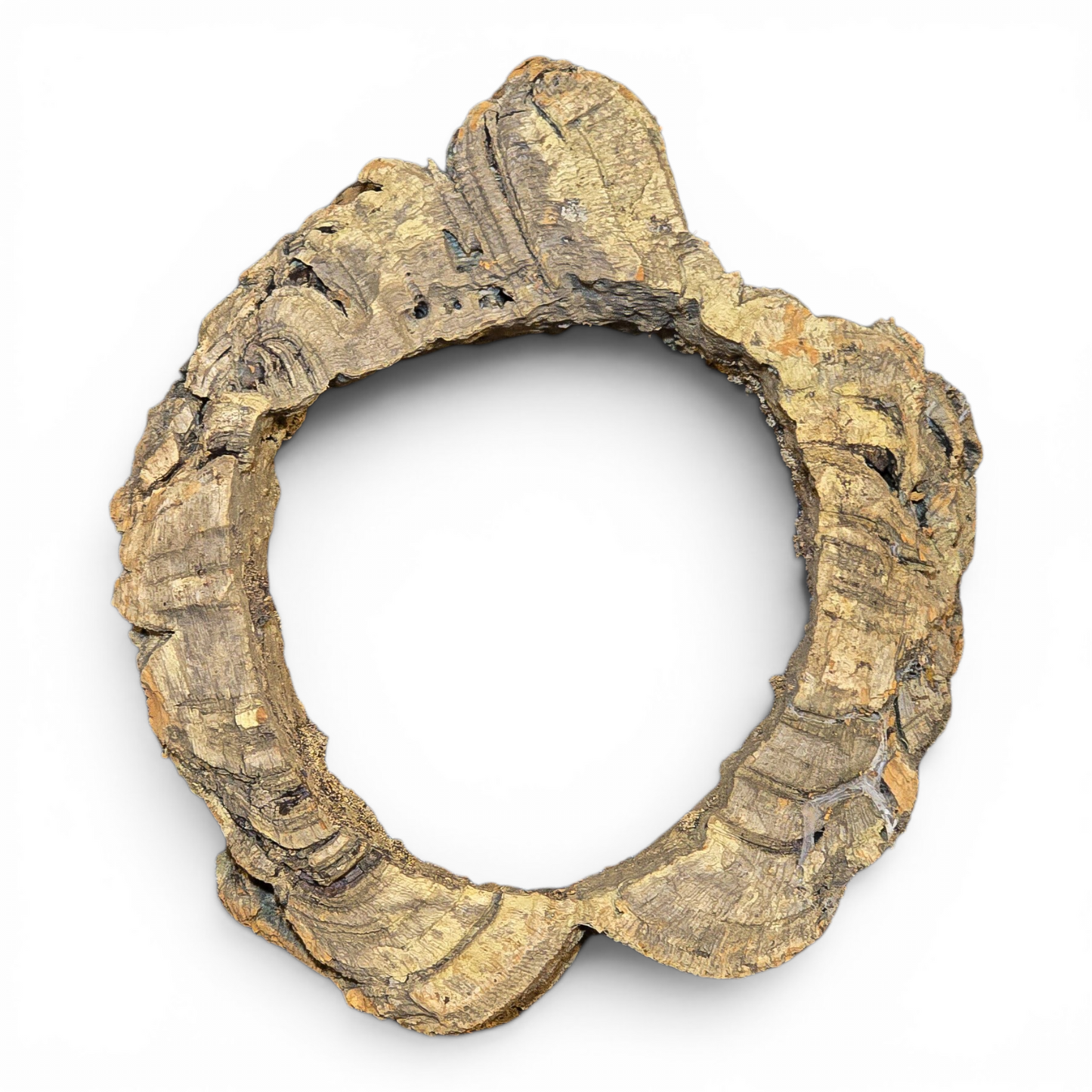 Natural Cork Bark Tube Hide for Reptiles & Terrariums – Small (4–8")