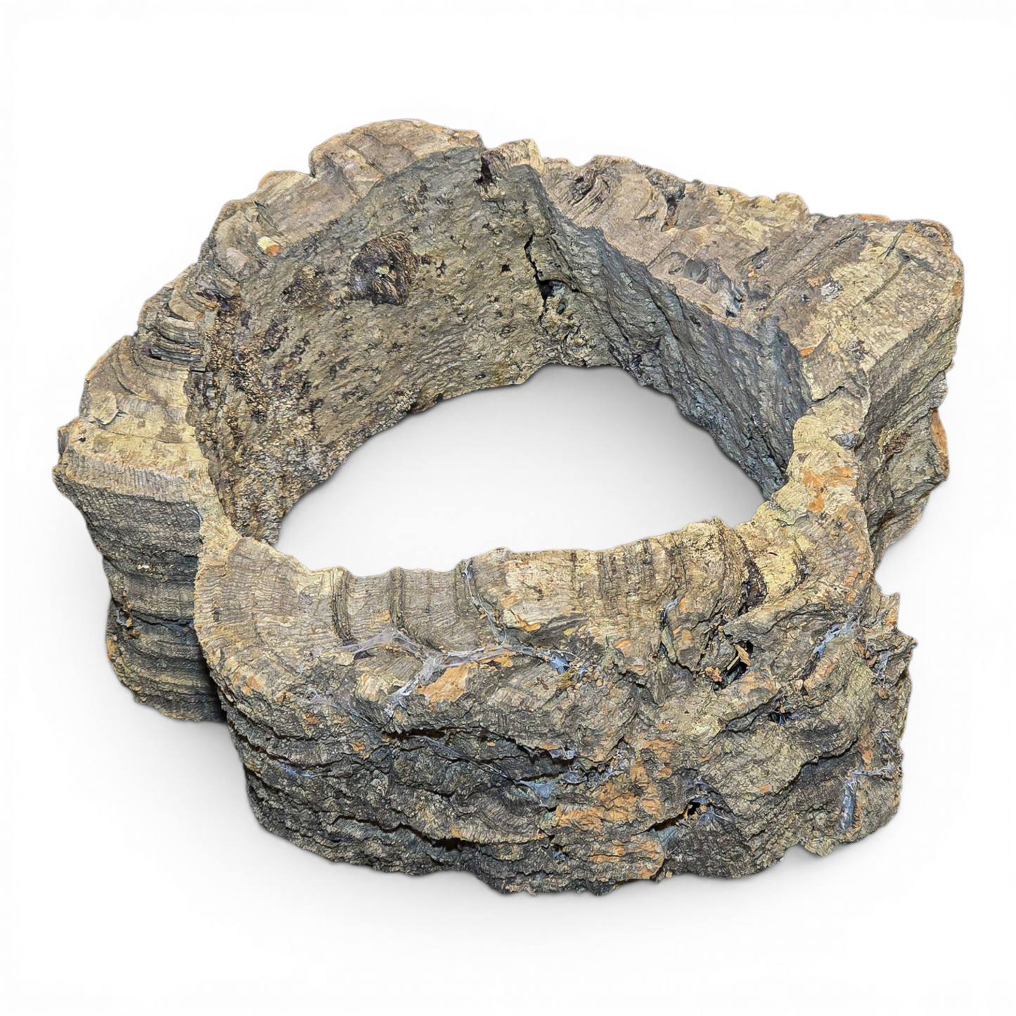 Natural Cork Bark Tube Hide for Reptiles & Terrariums – Small (4–8")