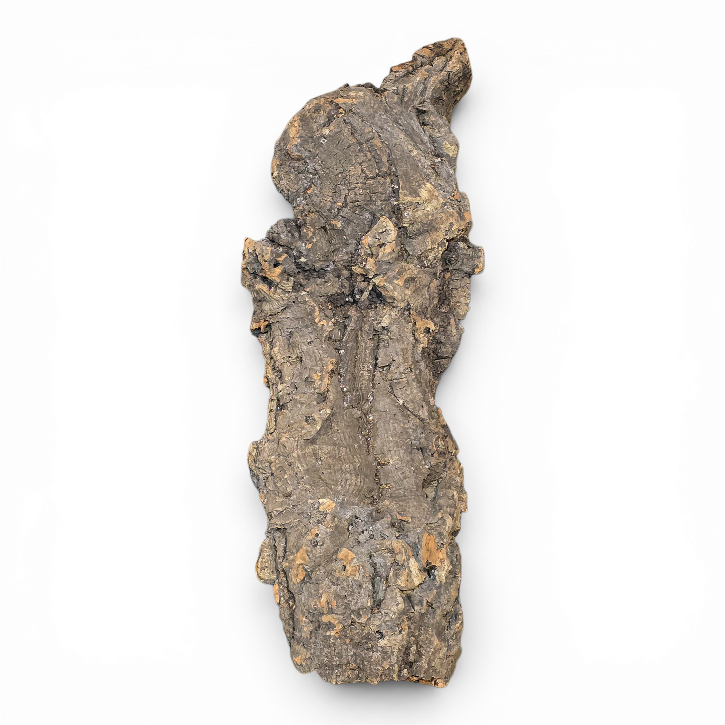 Cork Bark Flats – Large (16–24") | Natural Cork Bark for Reptiles & Terrariums