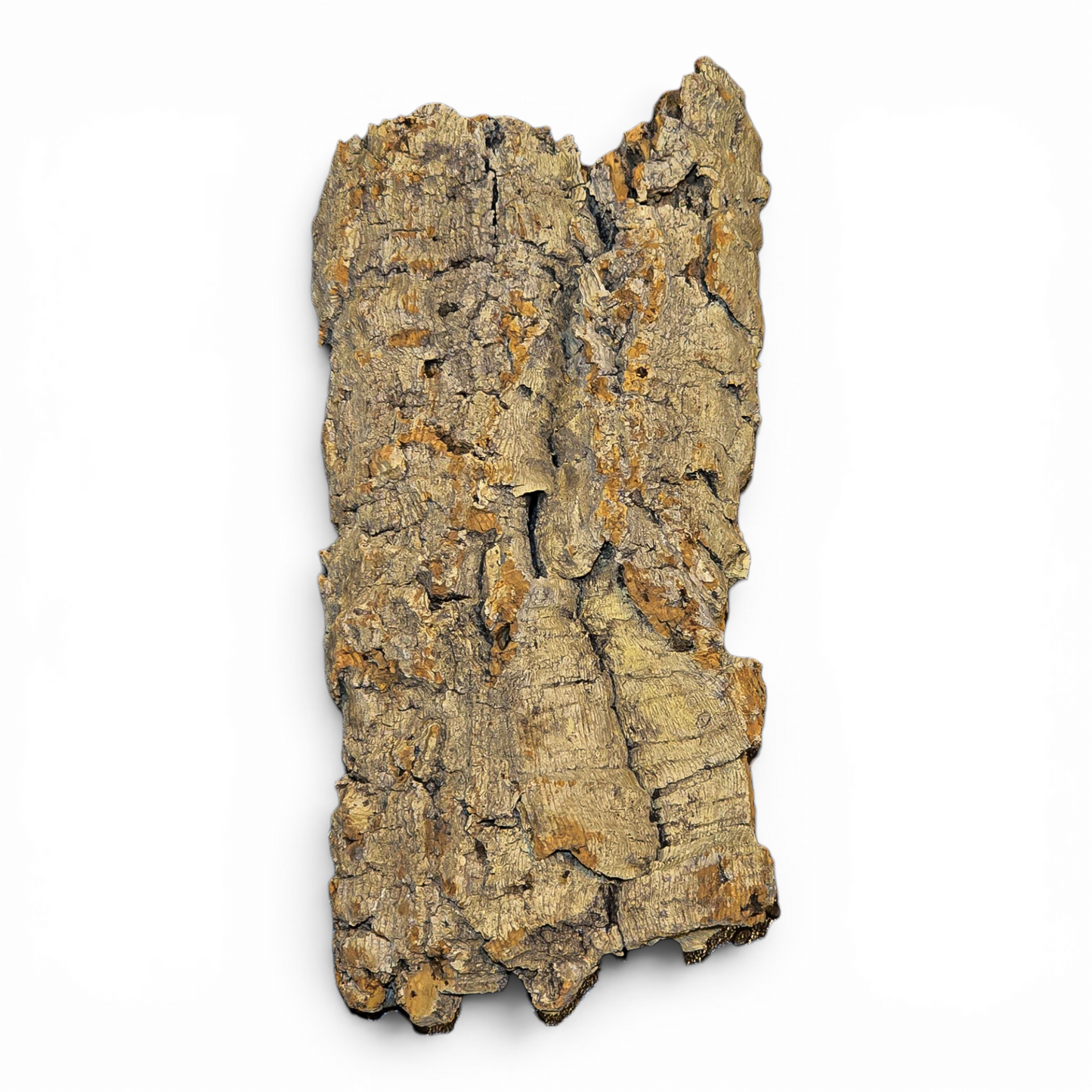 Cork Bark Flats – Small (6–10") | Natural Cork Bark for Reptiles & Terrariums