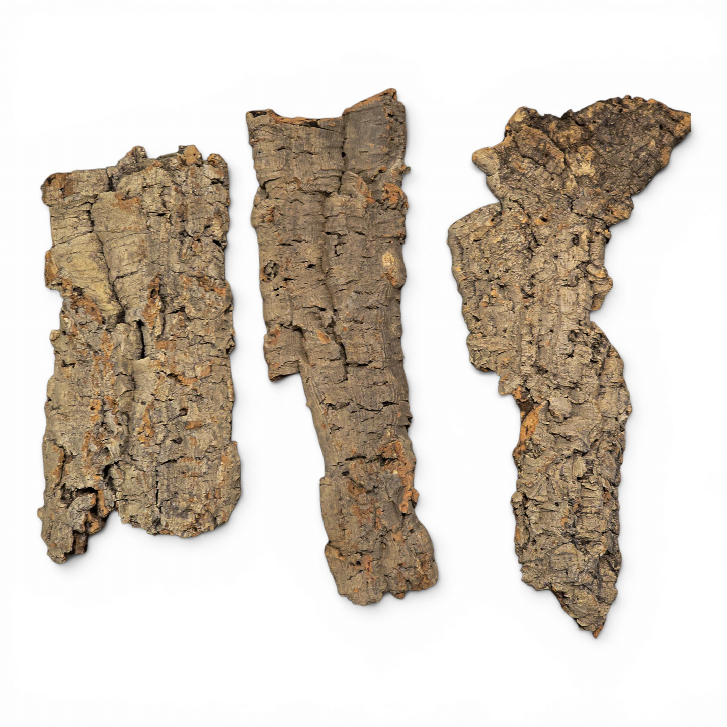 Cork Bark Flats – Medium (10–16") | Natural Cork Bark for Reptiles & Terrariums