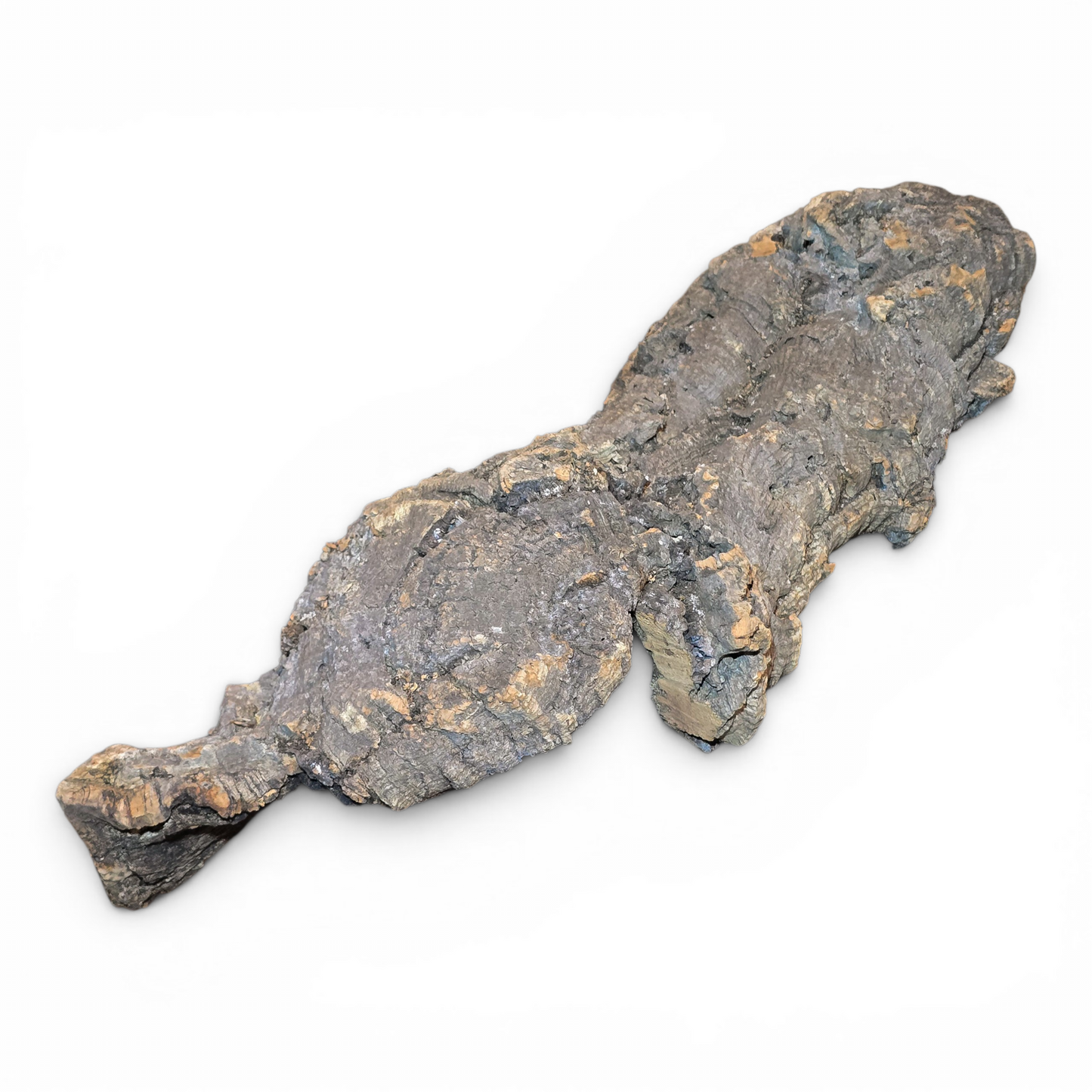 Cork Bark Flats – Large (16–24") | Natural Cork Bark for Reptiles & Terrariums