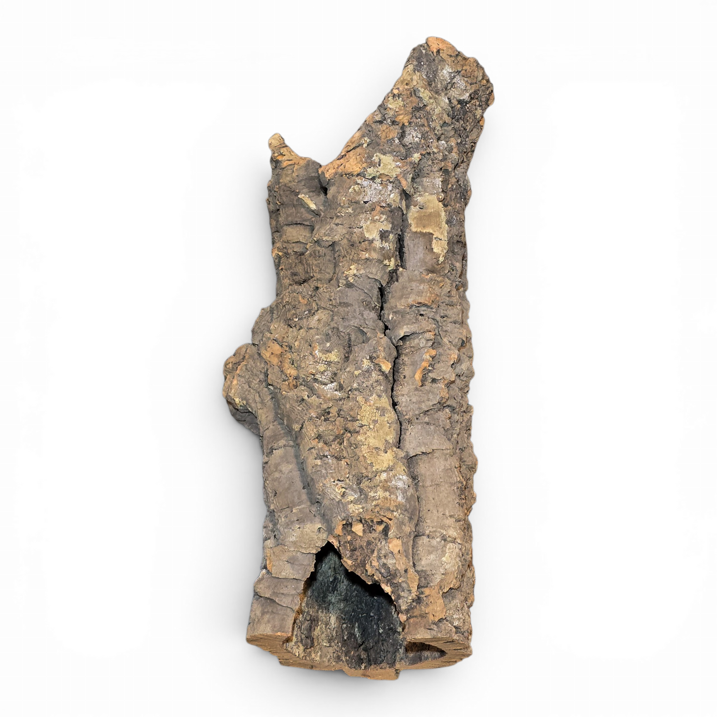Natural Cork Bark Tube Hide for Reptiles & Terrariums | X-Large 24–36"