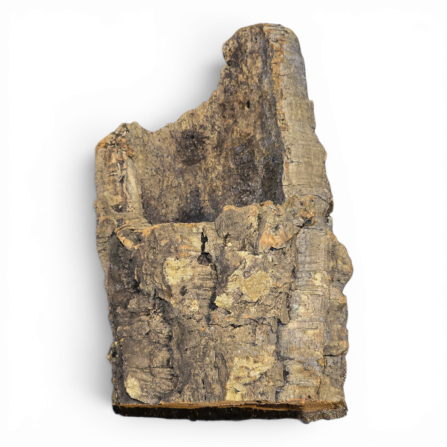 Natural Cork Bark Tube Hide for Reptiles & Terrariums – Small (4–8")