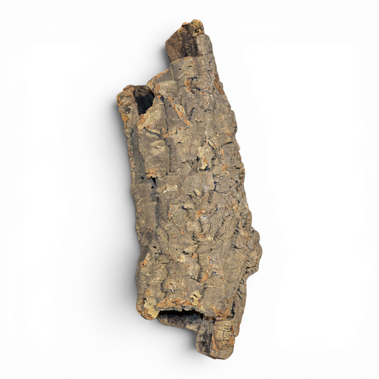 Natural Cork Bark Tube Hide for Reptiles & Terrariums – Small (4–8")