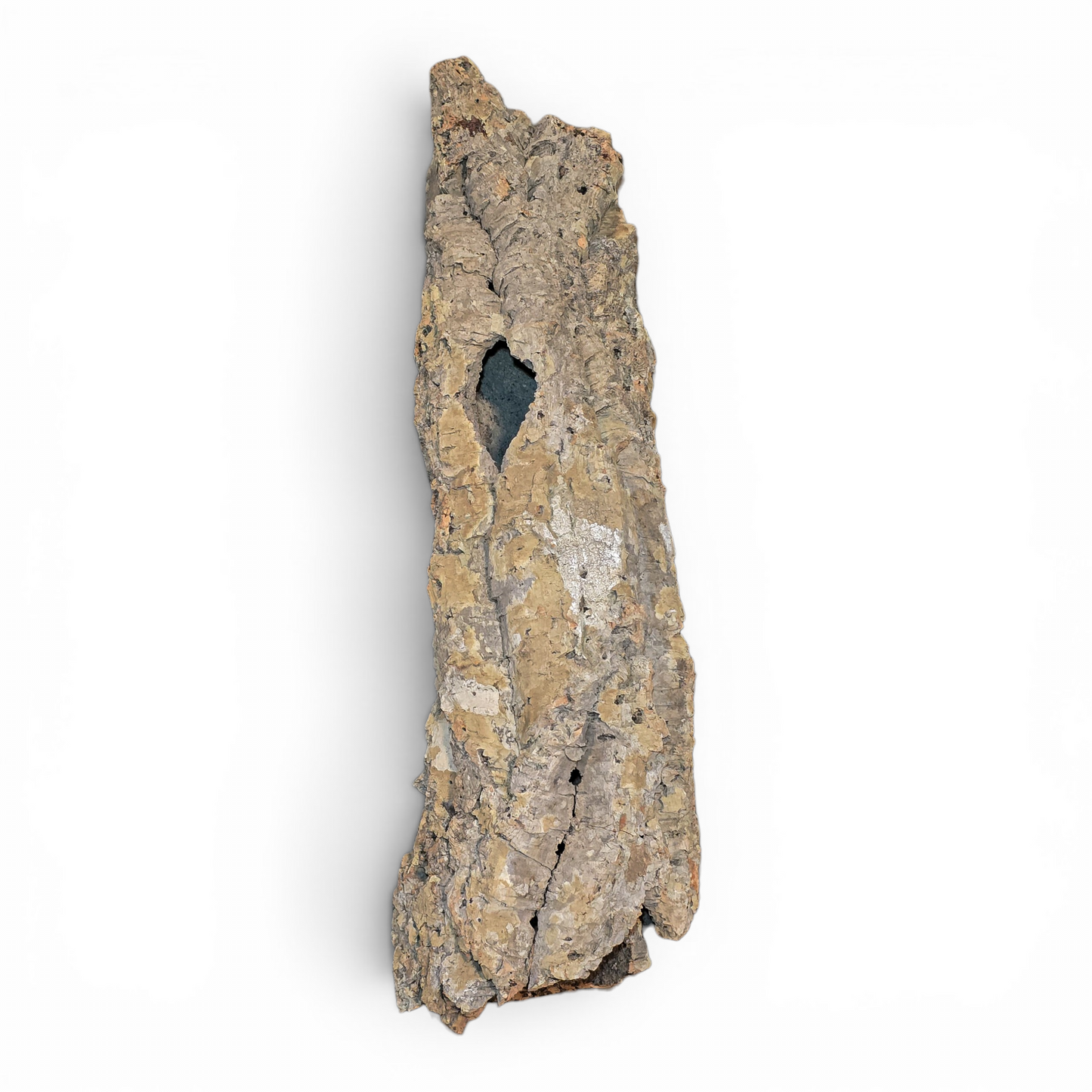 Natural Cork Bark Tube Hide for Reptiles & Terrariums | Large 16–24"