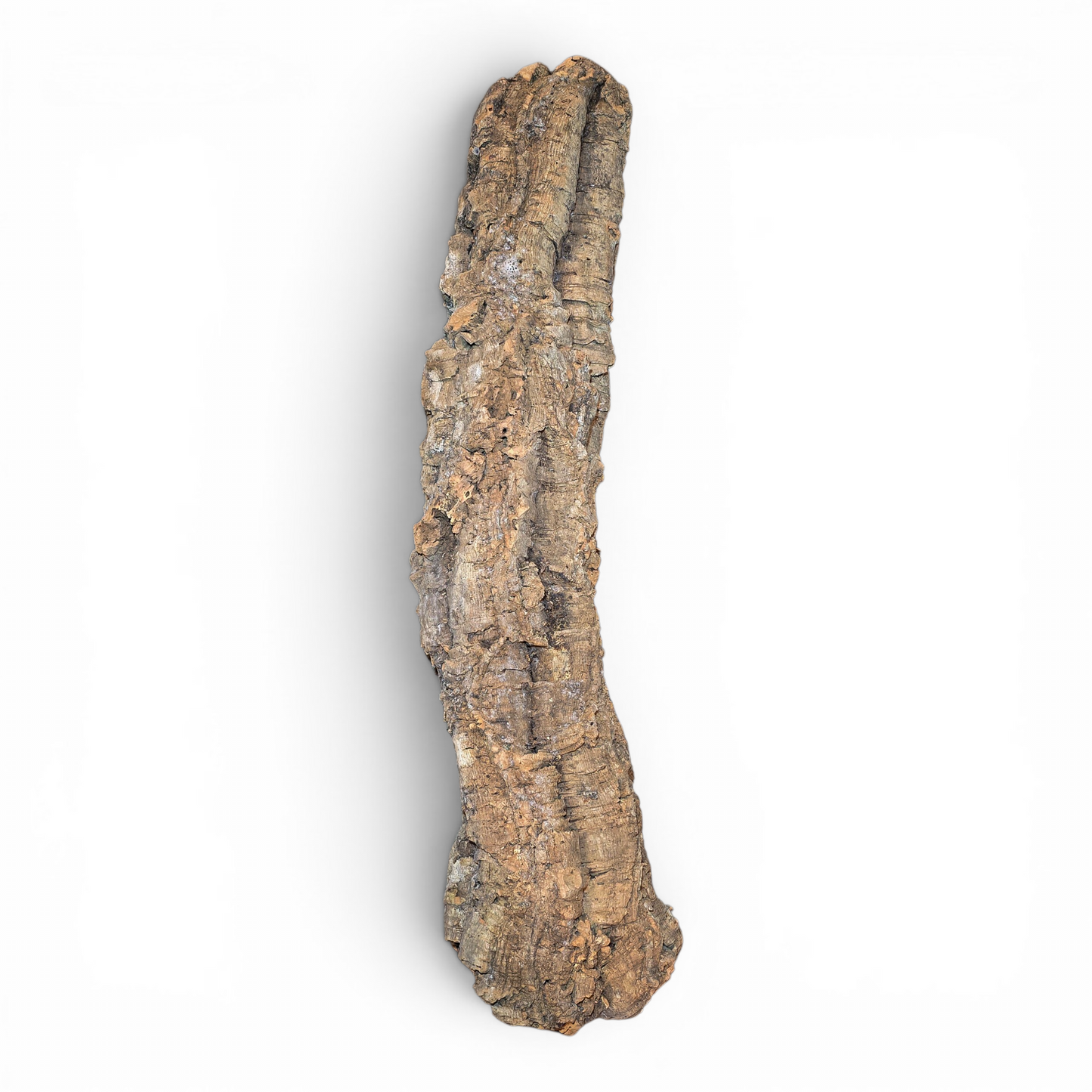 Natural Cork Bark Tube Hide for Reptiles & Terrariums | X-Large 24–36"